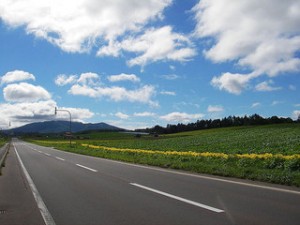 An empty road beneath a blue sky